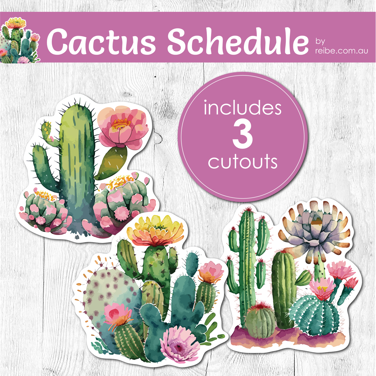 Cactus Daily Schedule Board